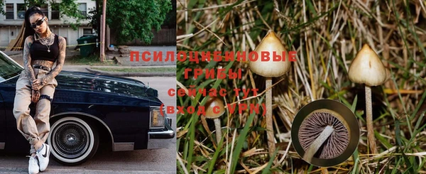 трава Вязники
