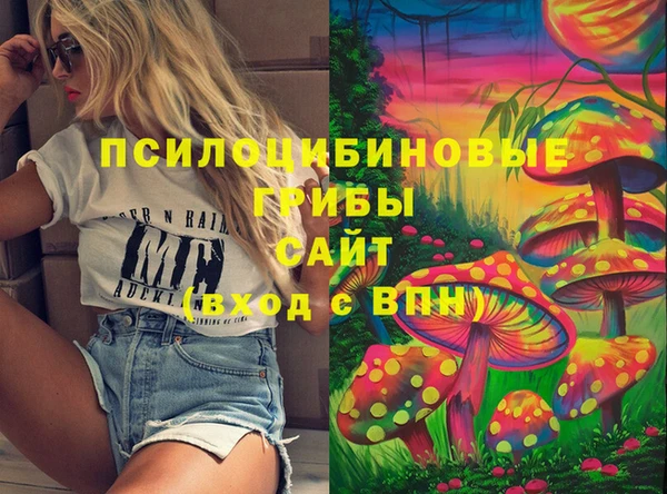 героин Вяземский