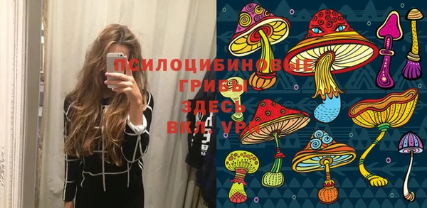 трава Вязники
