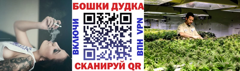 наркота  Черногорск  shop какой сайт  Бошки Шишки LSD WEED 